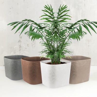 Blumentopf Linea Mood Line Quadro tattoo