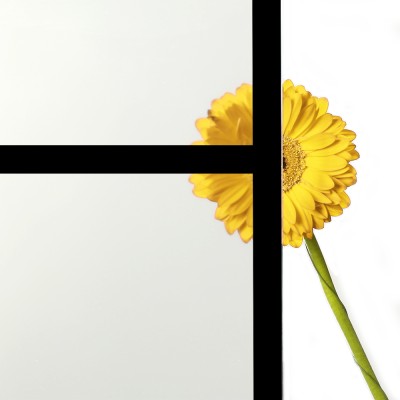 Doppelflügel Klarglas mit Design Black