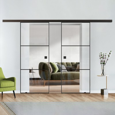 Doppelflügel Klarglas mit Design Black