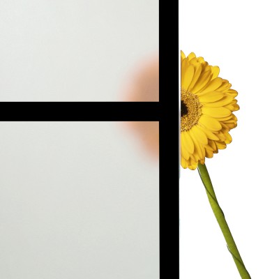 Doppelflügel Satino mit Design Black