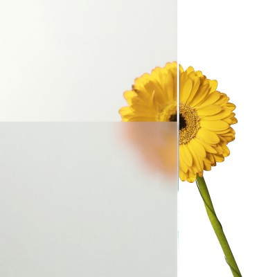Glaseinsatz Klarglas mit Design